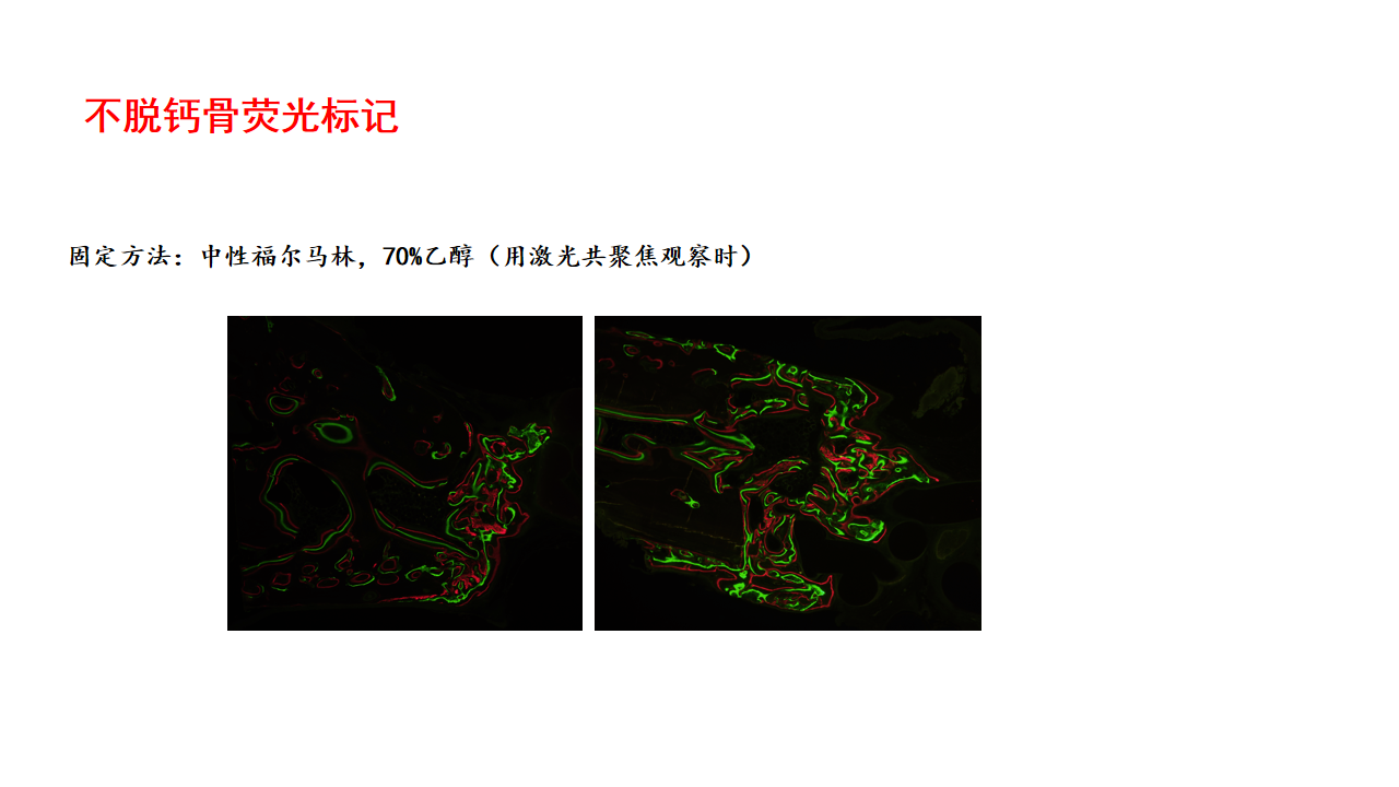 微信图片_20211114151704.png 微信图片_20211114151704.png