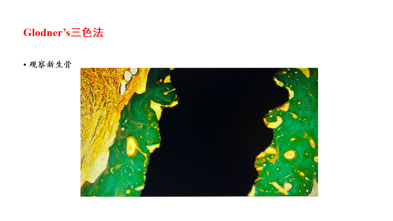 图.jpg 图.jpg